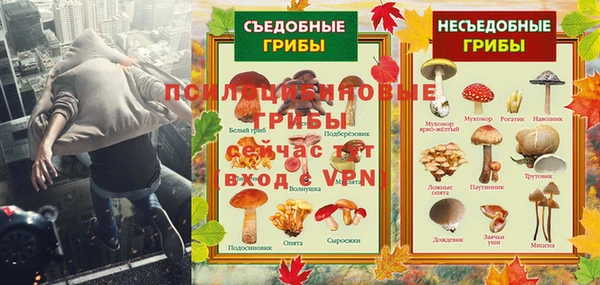 MESCALINE Верея