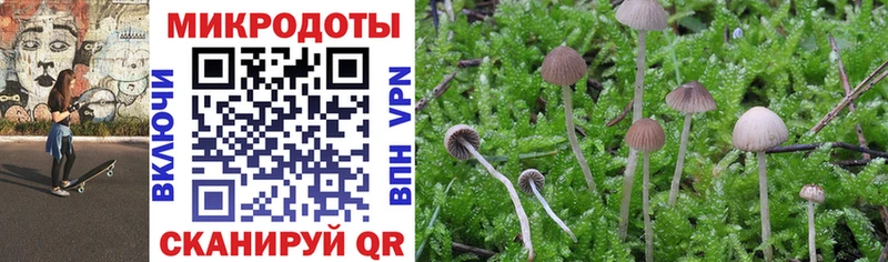 Галлюциногенные грибы Cubensis Коломна
